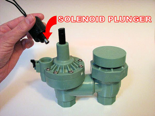 Solenoid Removed, Showing Plunger