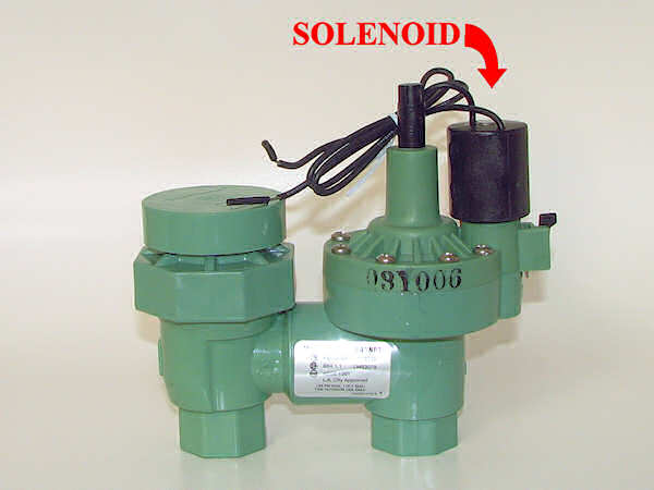 Solenoid on an electric anti-siphon valve.